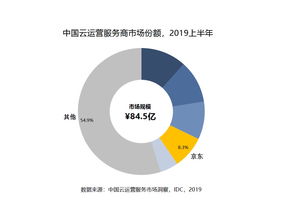 IDC 2019年上半年中國云運營服務市場洞察 京東云位列第一梯隊，運營服務成核心競爭力